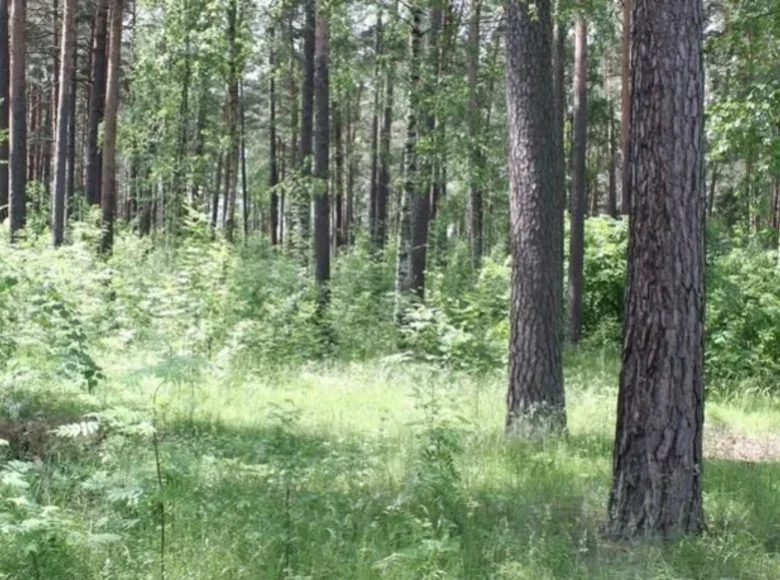 Земельные участки  Рига, Латвия