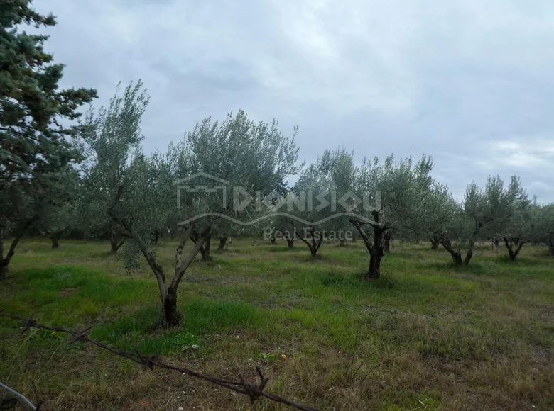 Land 858 m² Kalyves Polygyrou, Greece