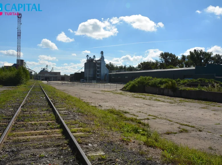 Działki  Padurpinycys, Litwa