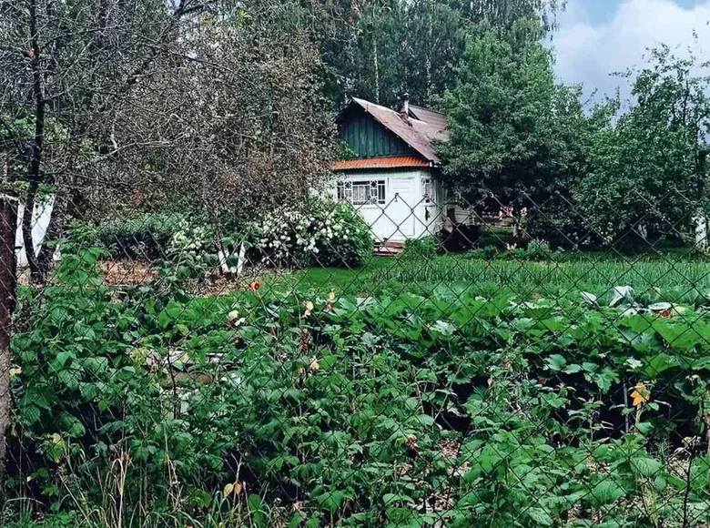 Casa 34 m² Bialarucki sielski Saviet, Belarús