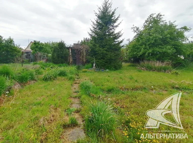 Дом 15 м² Мухавецкий сельский Совет, Беларусь