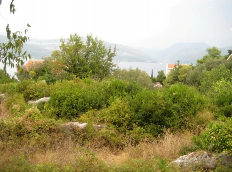 Land 1 710 m² Podgorica, Montenegro