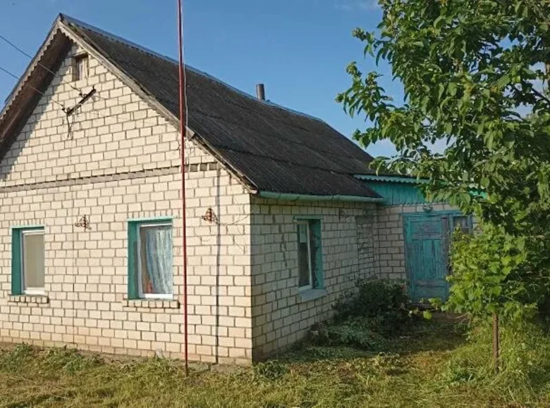 House 41 m² Volna, Belarus