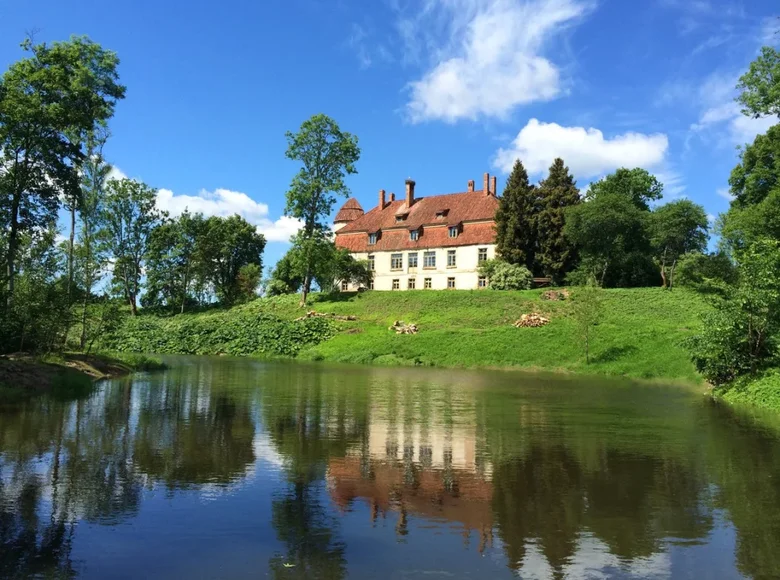 Maison 203 700 m² Dzelda, Lettonie