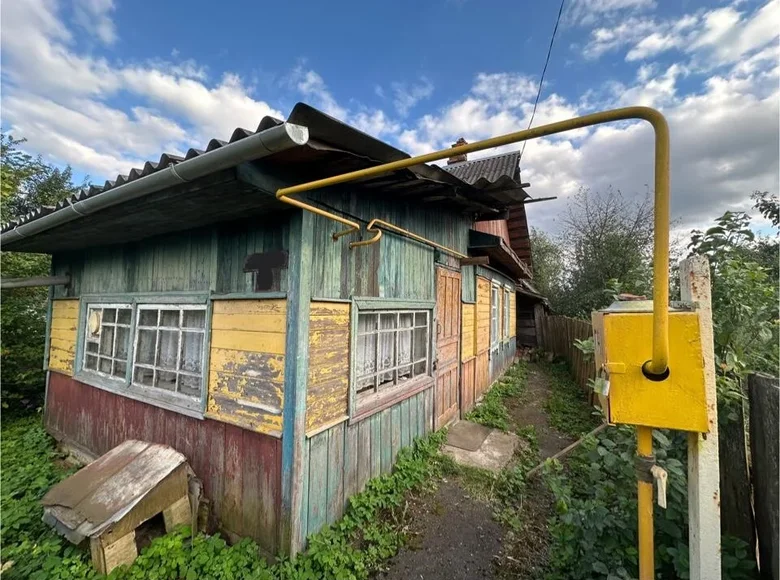 House 53 m² Orsha, Belarus