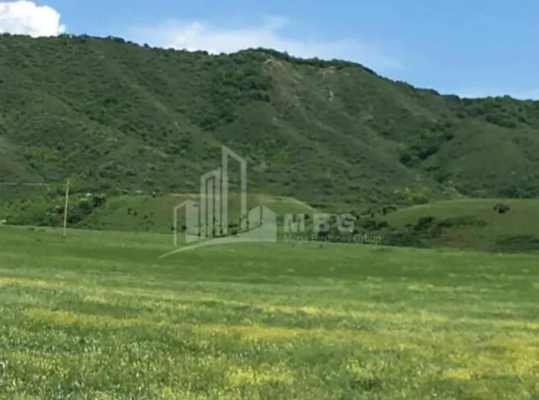 Grundstück 12 293 m² Tiflis, Georgien