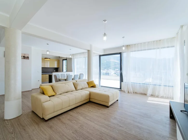3 bedroom apartment 233 m² Montenegro, Montenegro