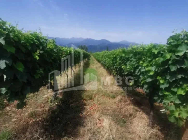 Land 7 000 m² Tbilisi, Georgia