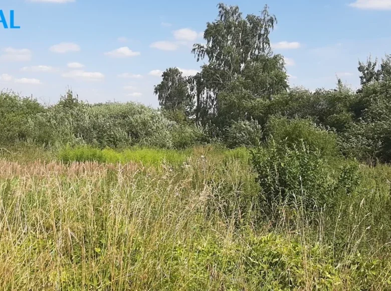 Land  Ukmerge, Lithuania