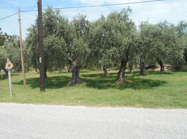 Grundstück  Skala Sotiros, Griechenland