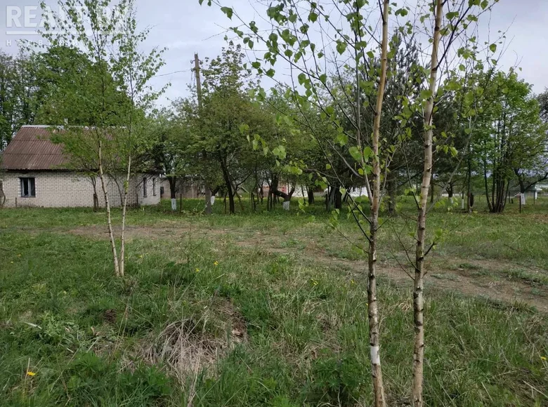 Dom 60 m² Łosznica, Białoruś