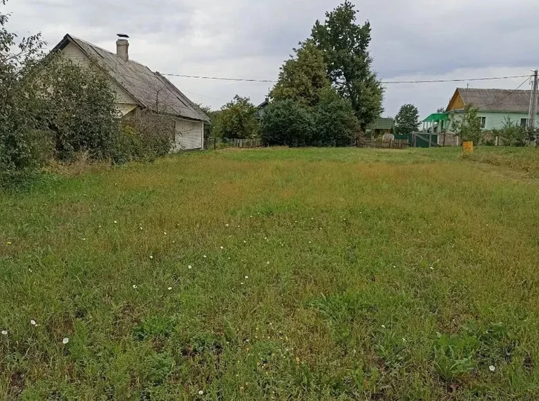 Działki  Samachvalavicki sielski Saviet, Białoruś