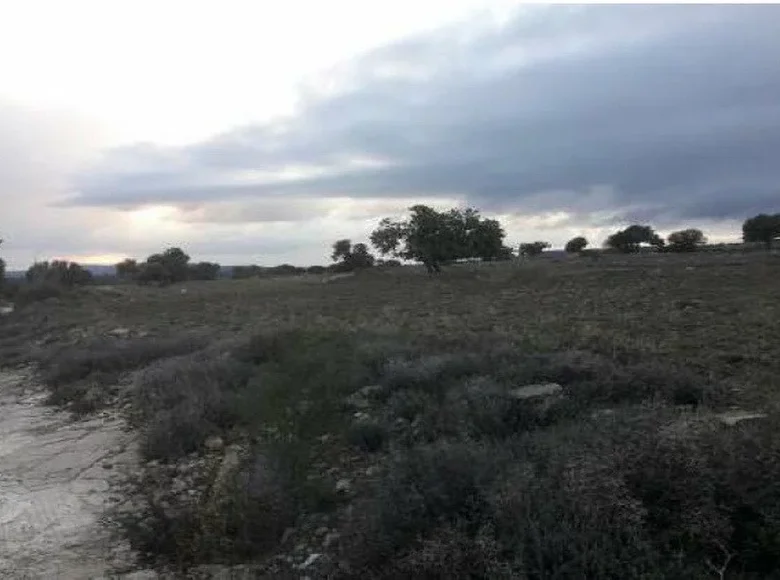 Land  Pachna, Cyprus