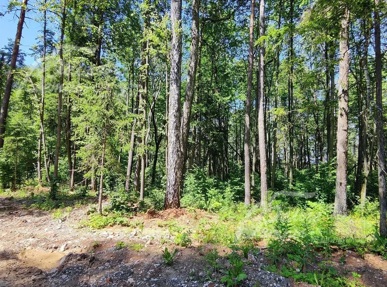 Land  Podolsk Urban Okrug, Russia