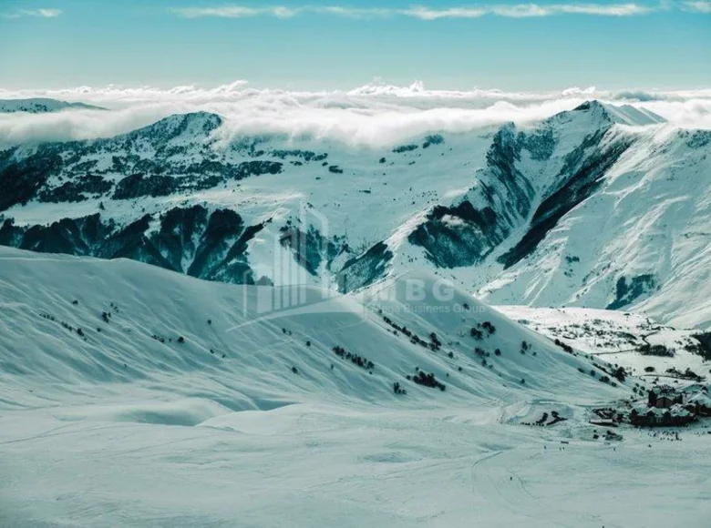 Atterrir 1 700 m² Tbilissi, Géorgie