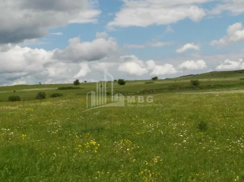 Parcelas 140 000 m² Tiflis, Georgia