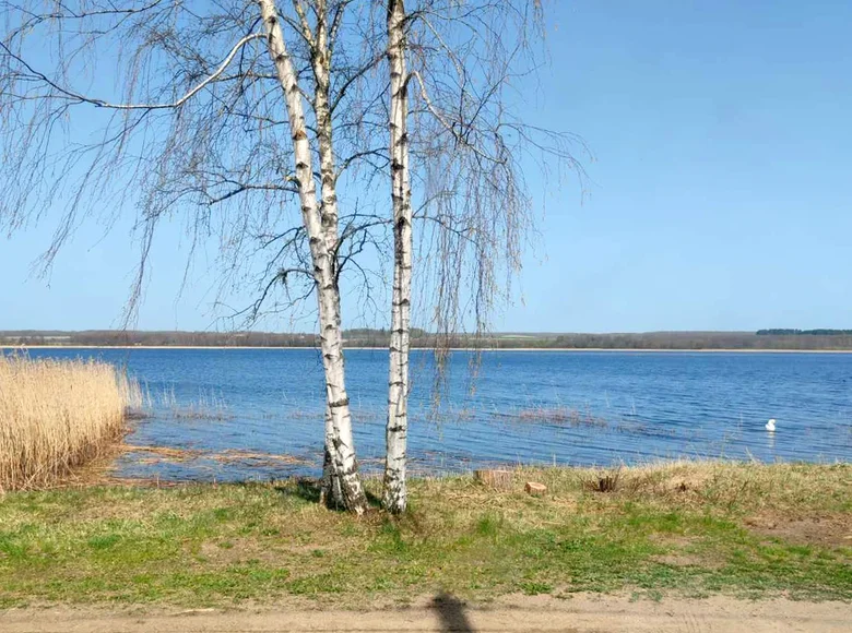 Działki  Svirski sielski Saviet, Białoruś