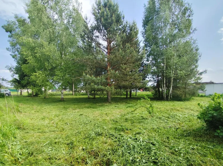 Parcelas  Zodzinski sielski Saviet, Belarús