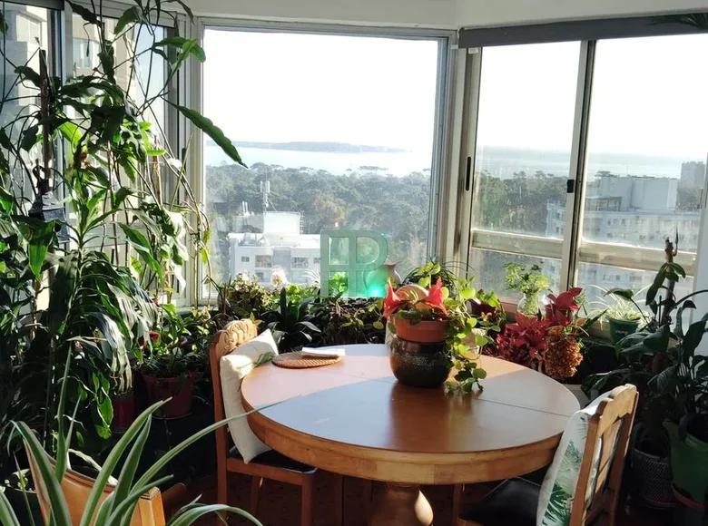 Квартира 4 спальни 185 м² Punta Del Este, Уругвай