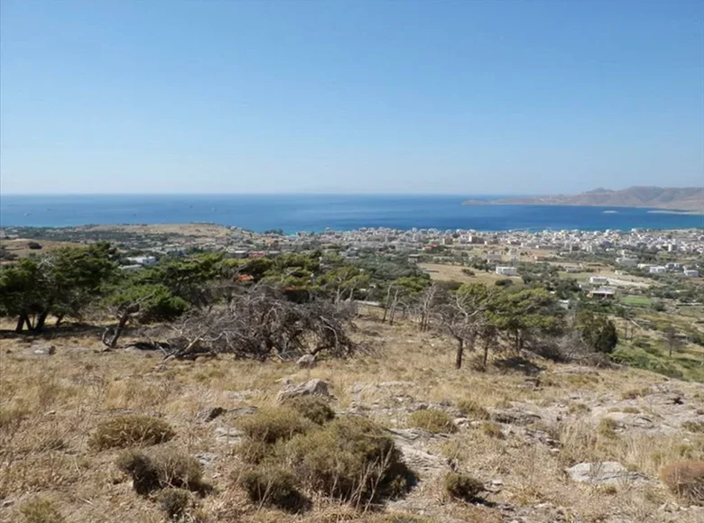 Land 1 room 42 000 m² Grampia, Greece