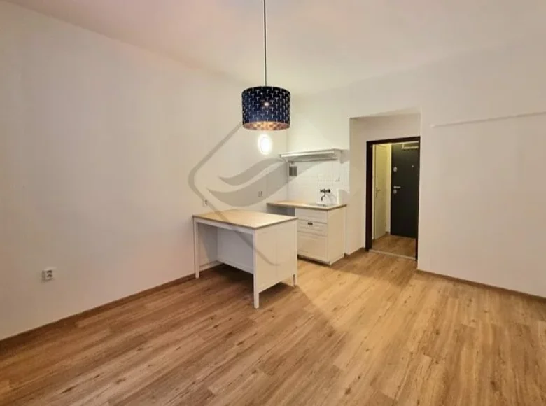 1 bedroom apartment 23 m² Capital City of Prague, Czech Republic