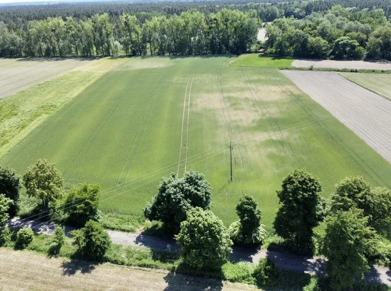 Land 5 737 m² Rawicz, Poland