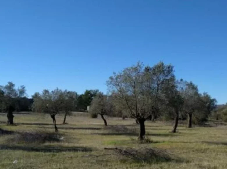 Parcelas  Kornos, Chipre