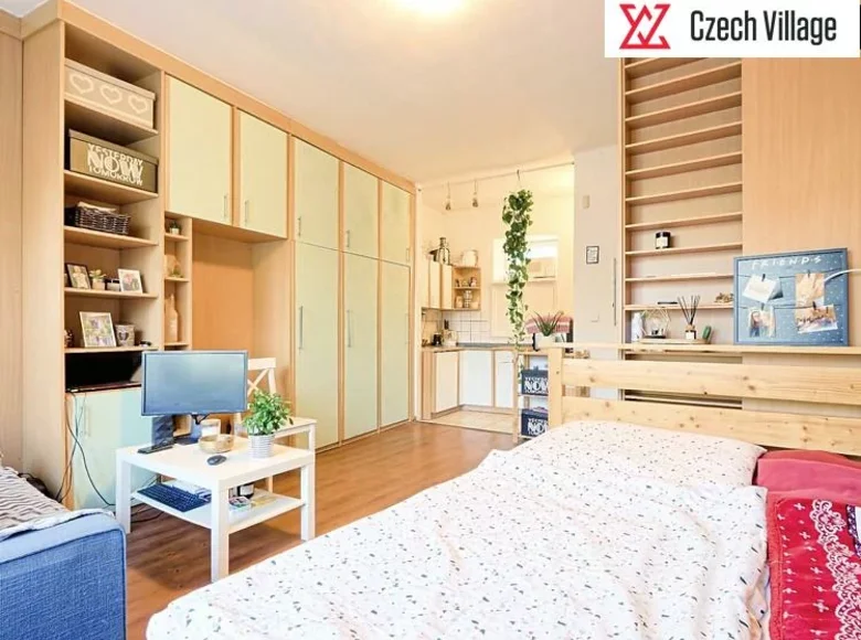 1 bedroom apartment 27 m² okres Brno mesto, Czech Republic