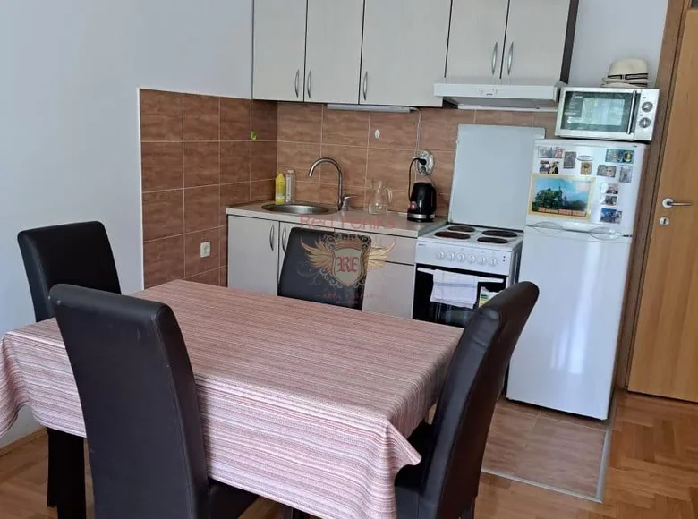 1 bedroom apartment 46 m² Montenegro, Montenegro