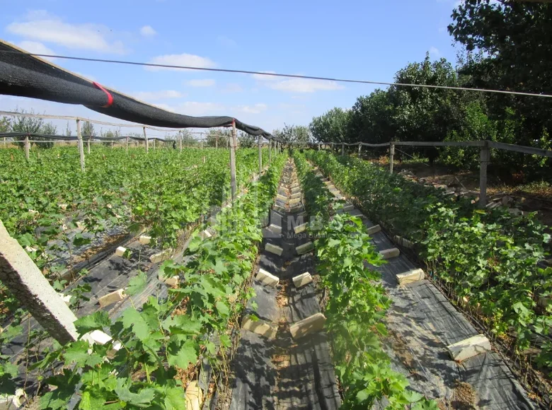 Działki 200 000 m² Tbilisi, Gruzja