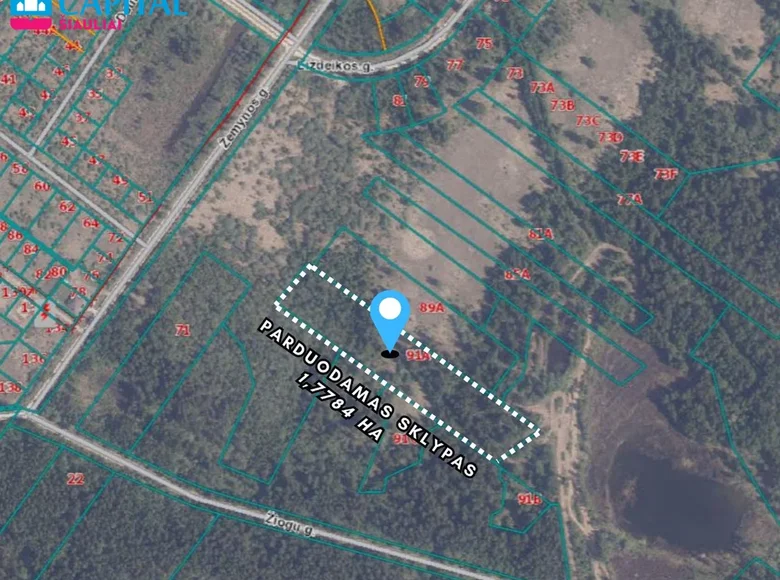 Działki  Szawle, Litwa