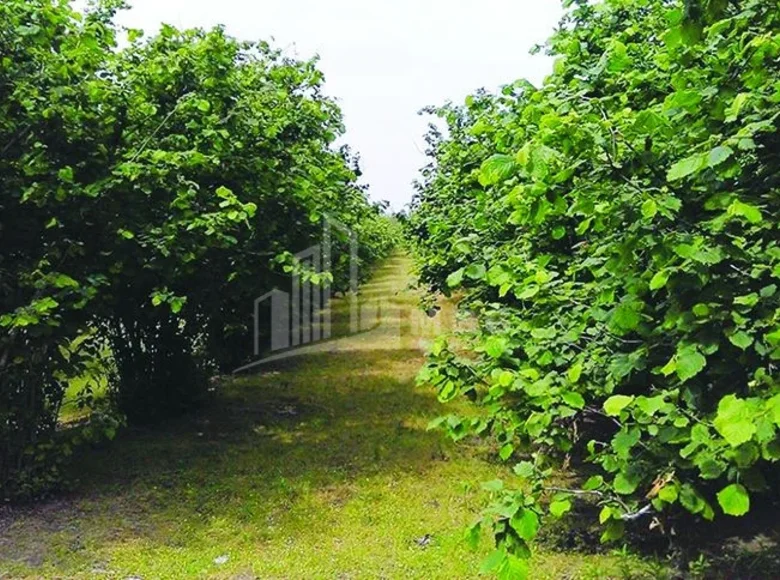 Земельные участки 2 000 м² Тбилиси, Грузия