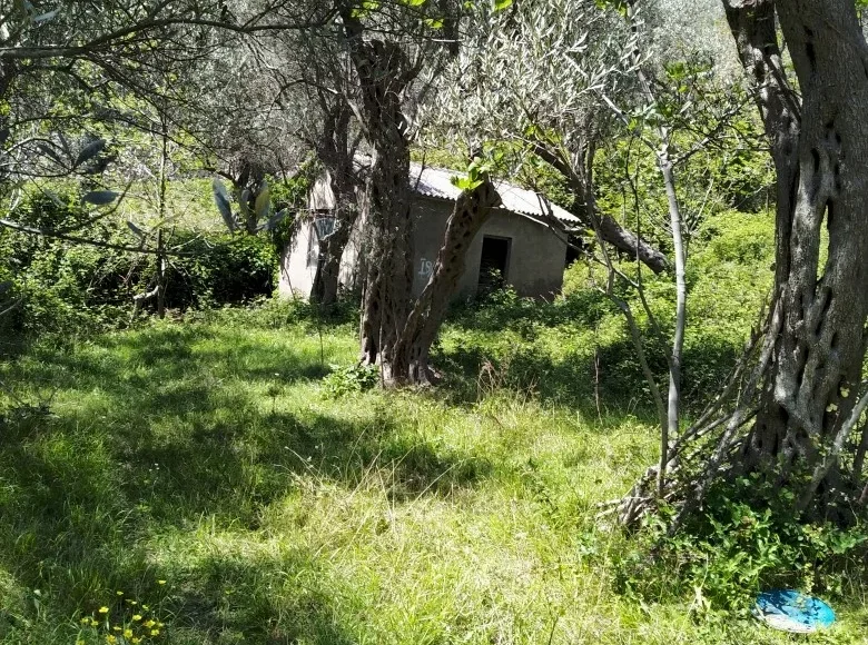 Atterrir  Bar, Monténégro