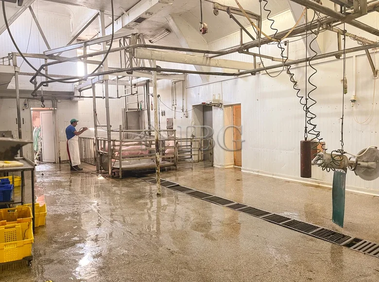 Appartement 1 519 m² Roussé, Bulgarie