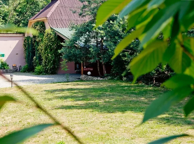 Established business 690 m² in Irshava, Ukraine