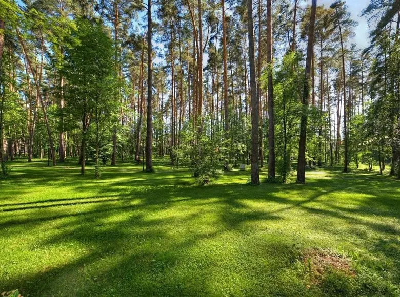 Atterrir  town district of Sochi, Russie