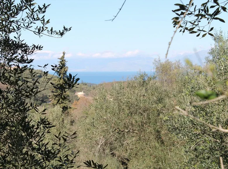 Atterrir 1 chambre 5 000 m² Saint-Stéphane, Grèce