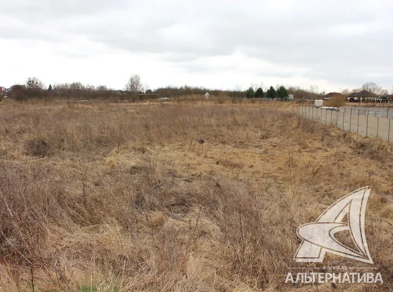 Parcelas  Muchaviecki sielski Saviet, Belarús