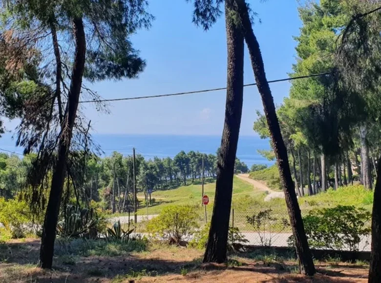 Вилла 1 спальня 440 м² Kassandra Municipality, Греция