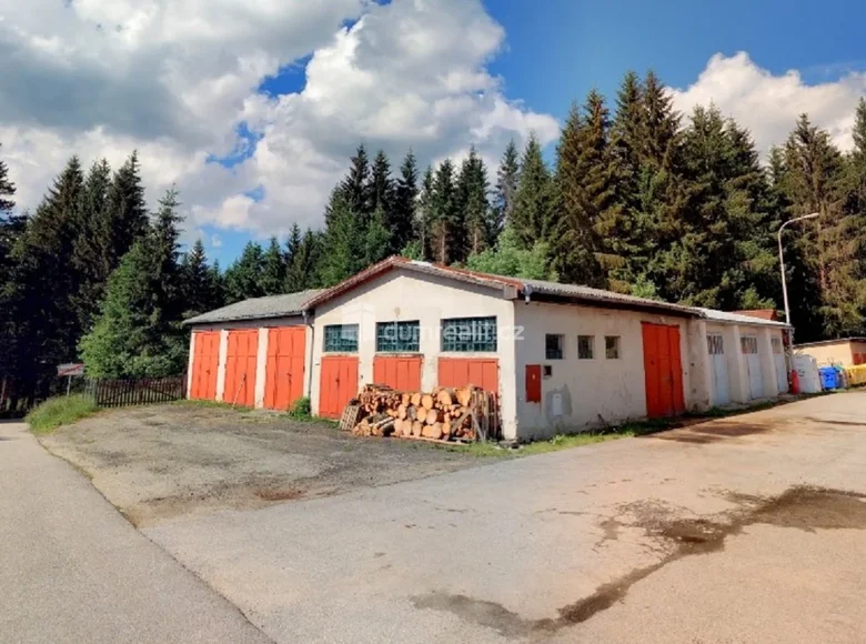 Коммерческое помещение 515 м² Pohorska Ves, Чехия