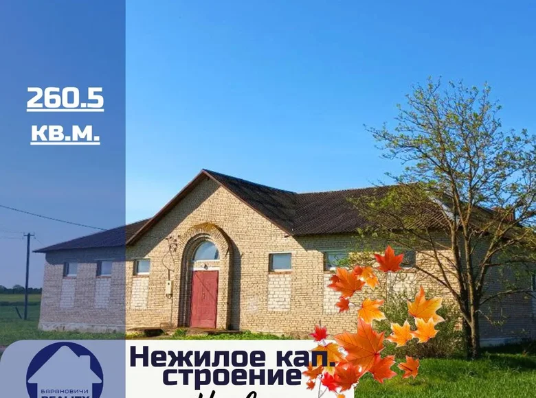 Commercial property 261 m² in Krupicki sielski Saviet, Belarus
