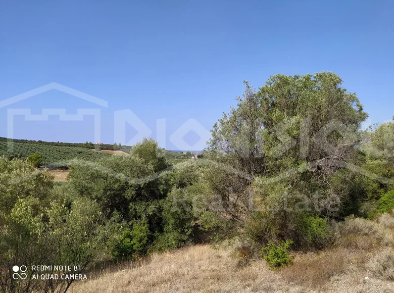 Parcelas 7 500 m² Vatopedi, Grecia