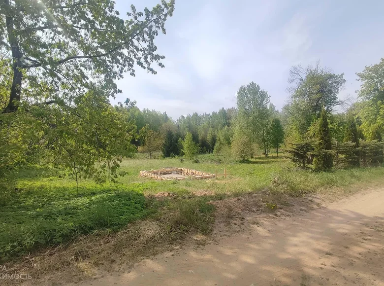 Parcelas  Putcynski sielski Saviet, Belarús