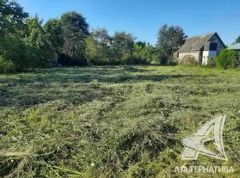 Działki  Znamienski sielski Saviet, Białoruś