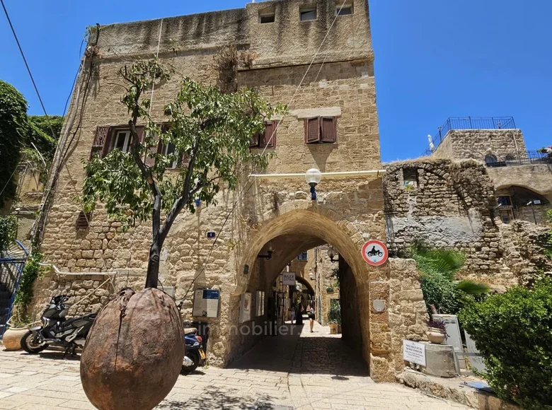 Appartement 8 chambres 350 m² Tel-Aviv, Israël