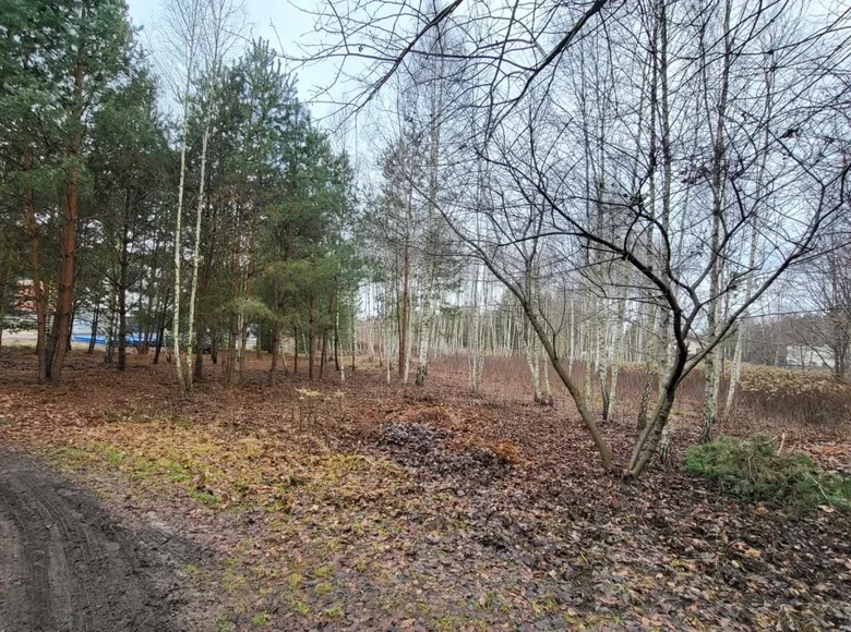 Apartment 1 439 m² Masovian Voivodeship, Poland