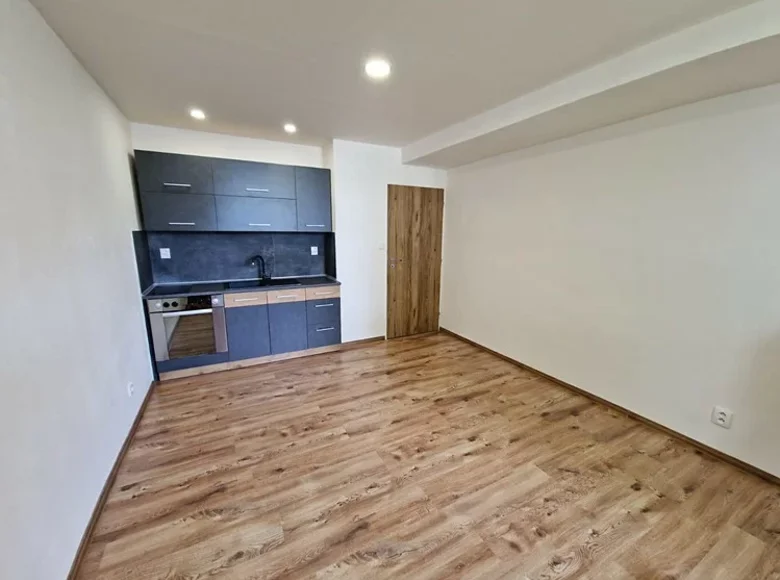 1 bedroom apartment 24 m² okres Ostrava mesto, Czech Republic