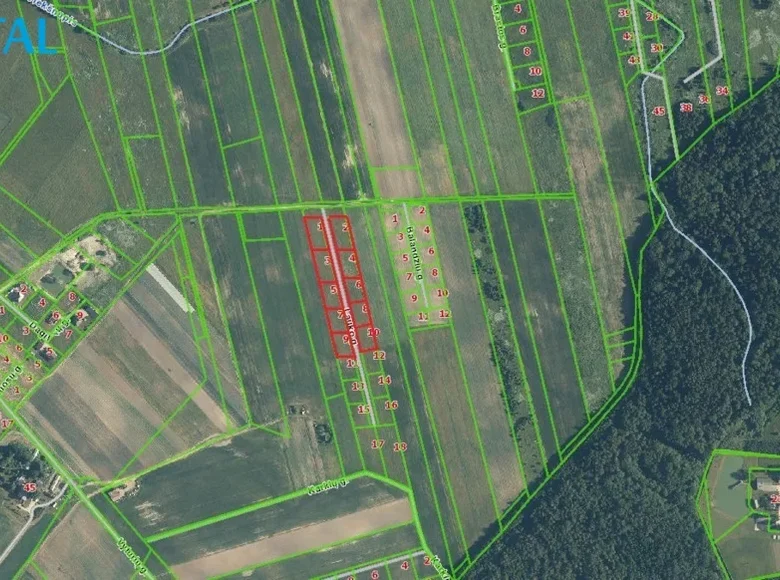 Atterrir  Kaunas, Lituanie