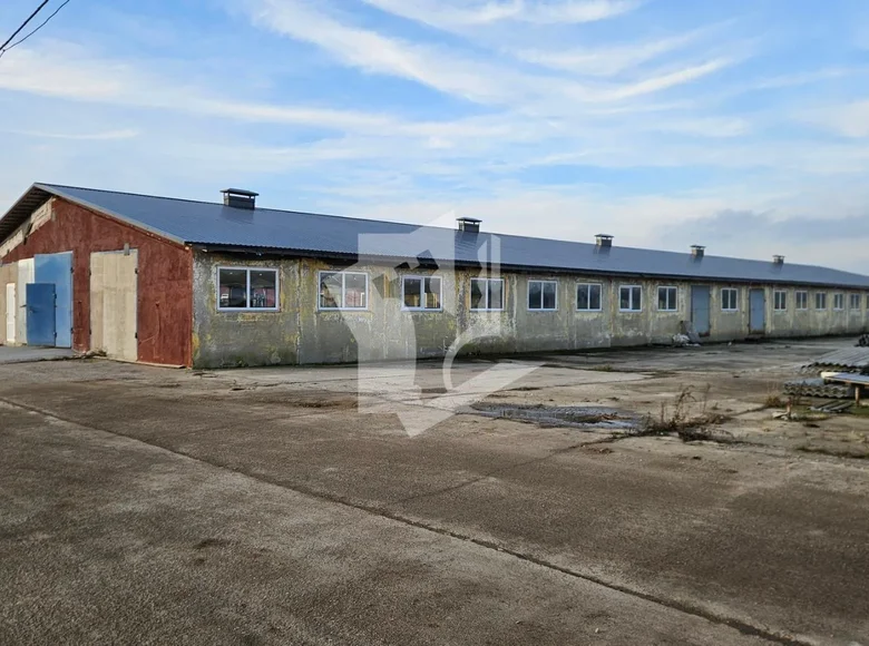 Manufacture 3 rooms 600 m² in Aronava Slabada, Belarus
