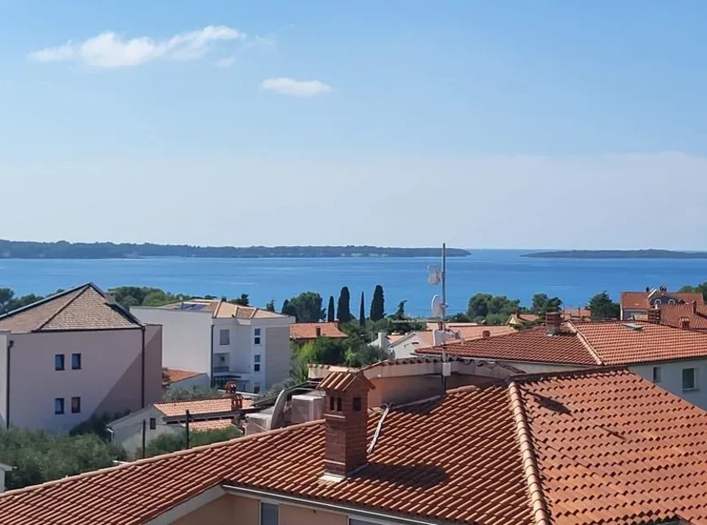 Penthouse 7 bedrooms  Opcina Fazana, Croatia